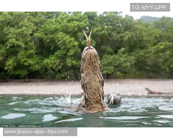 意媒曝菲尔克鲁格客战科莫遭窃房间物品原本无需参赛引发关注